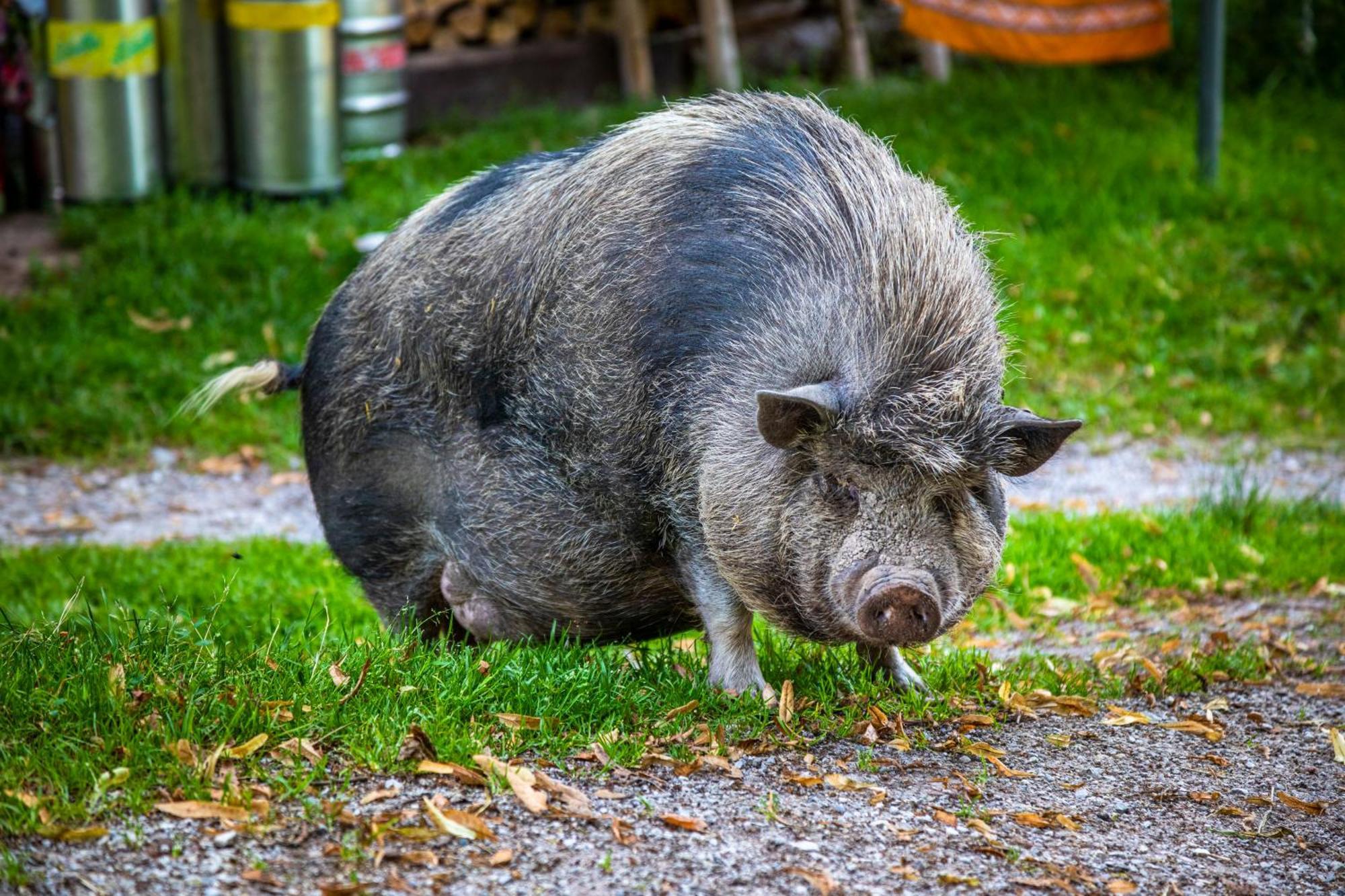 Ferienhof Millinghof レオガング エクステリア 写真